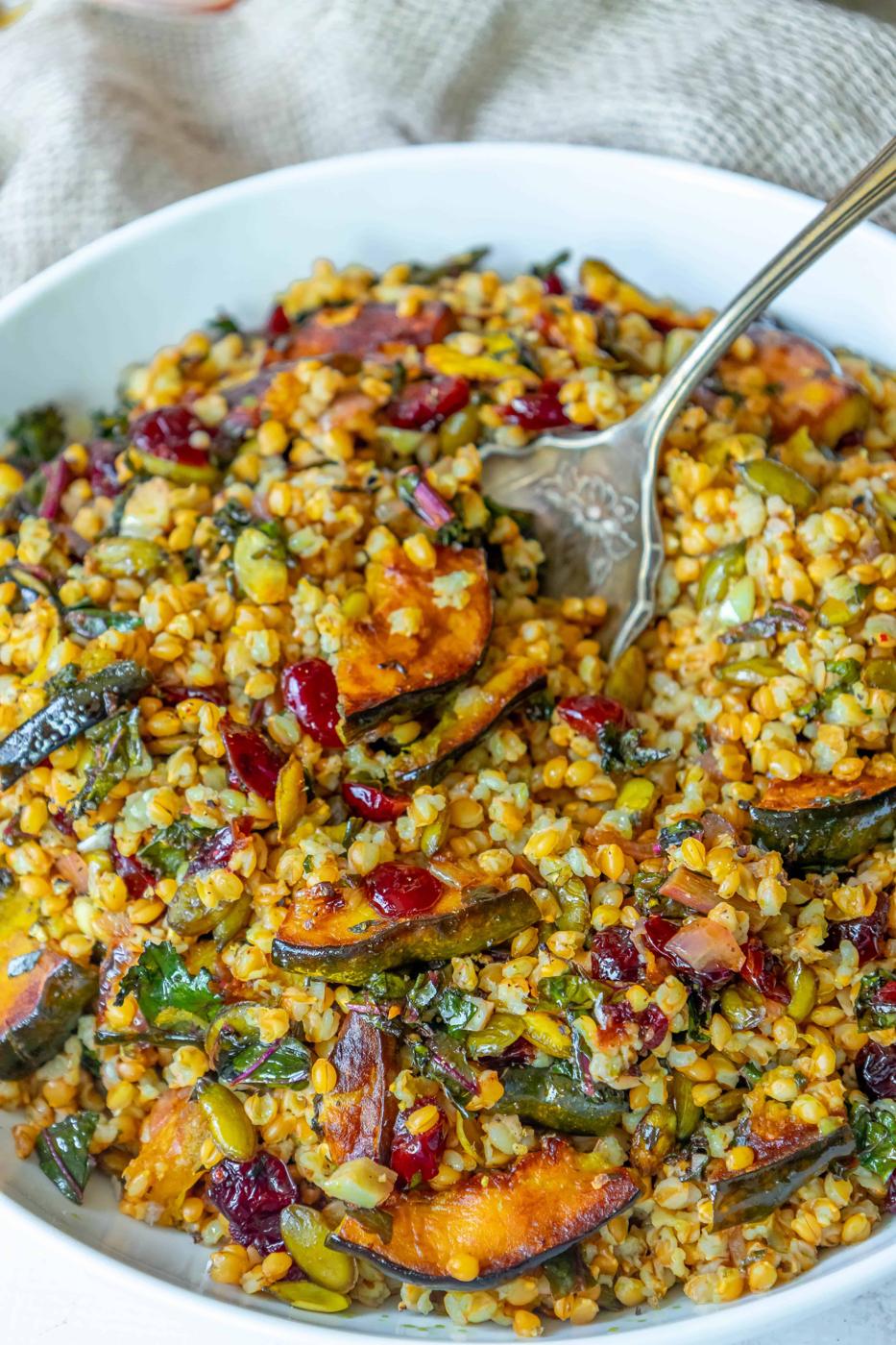A white bowl with a spoonful of roasted squash and cranberries.