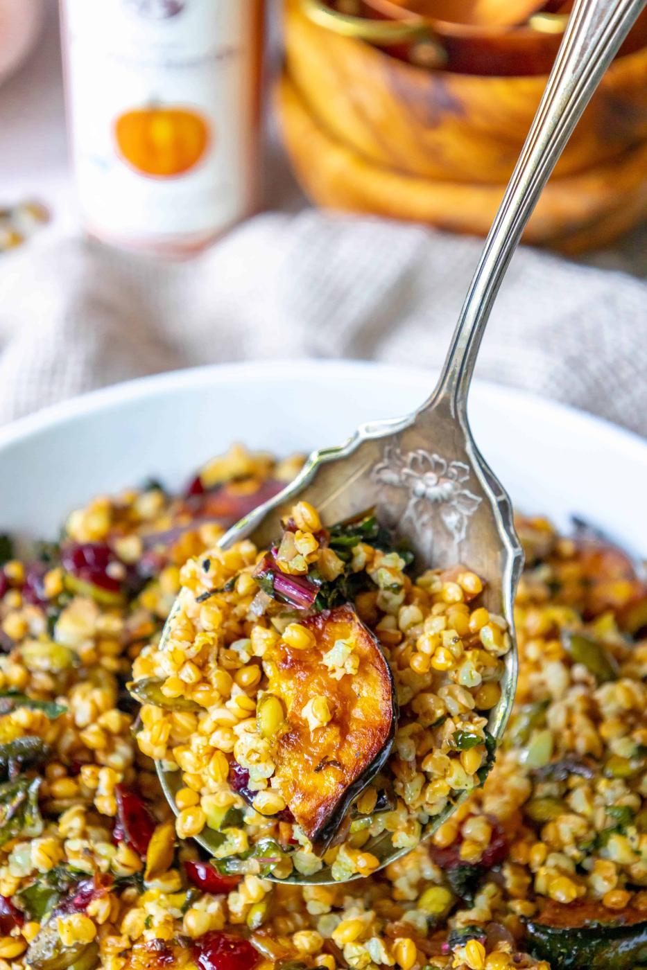 A spoon with a bowl of wheat and cranberries.