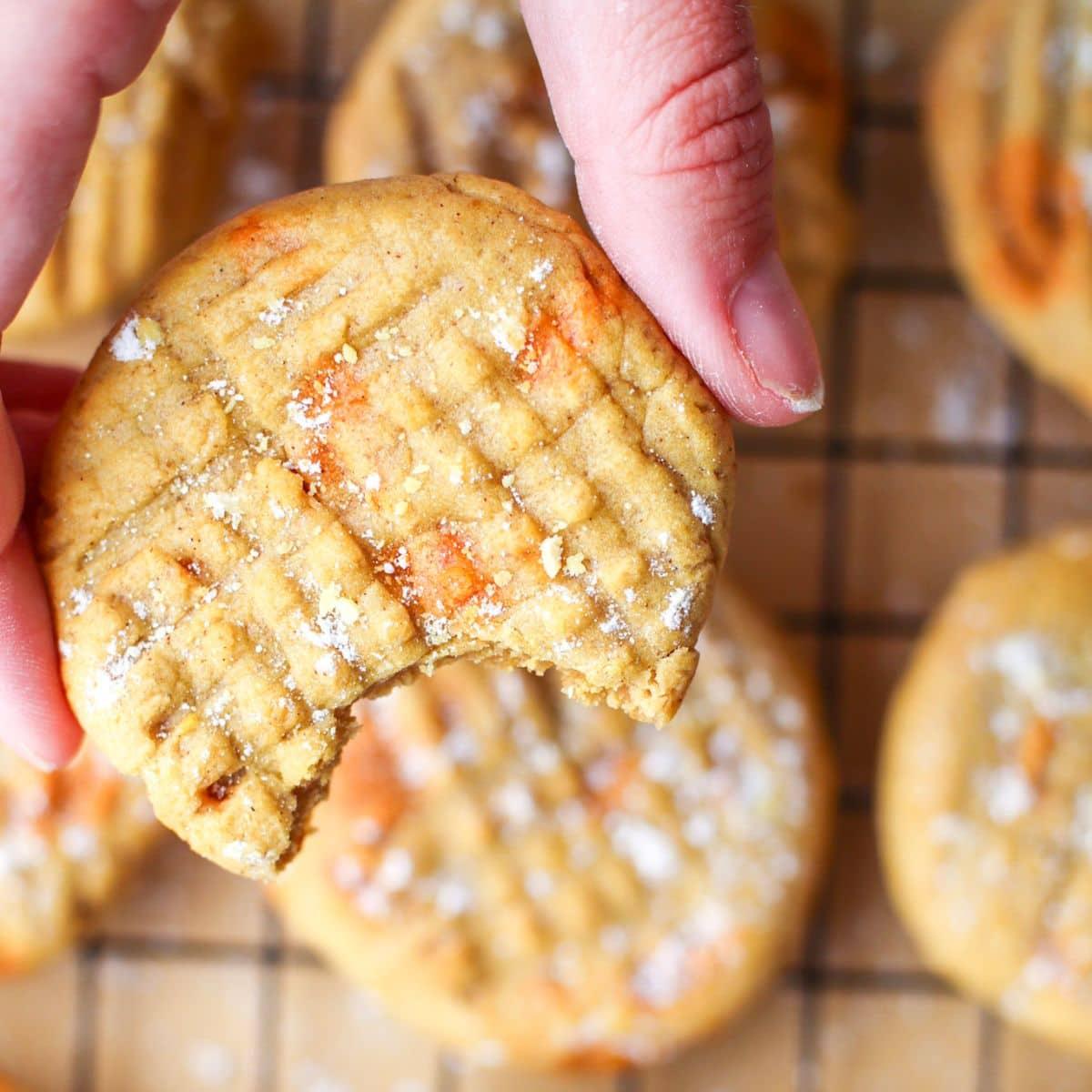Air Fryer Pumpkin Butter Cookies Recipe