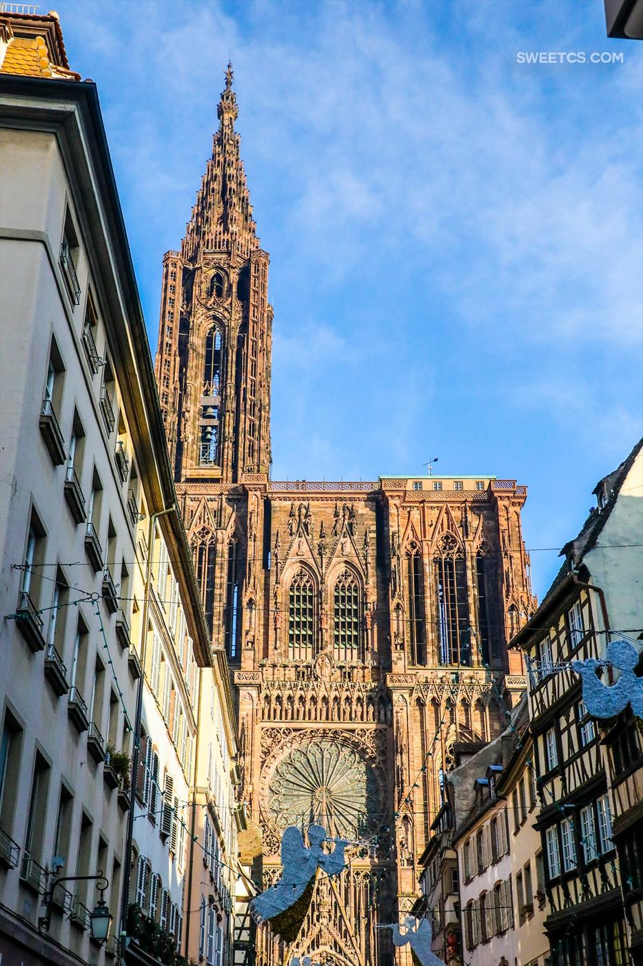 notre dame cathedral