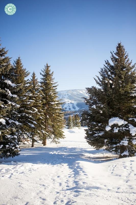 Avon Colorado- view of Beaver Creek from Nottingham Park