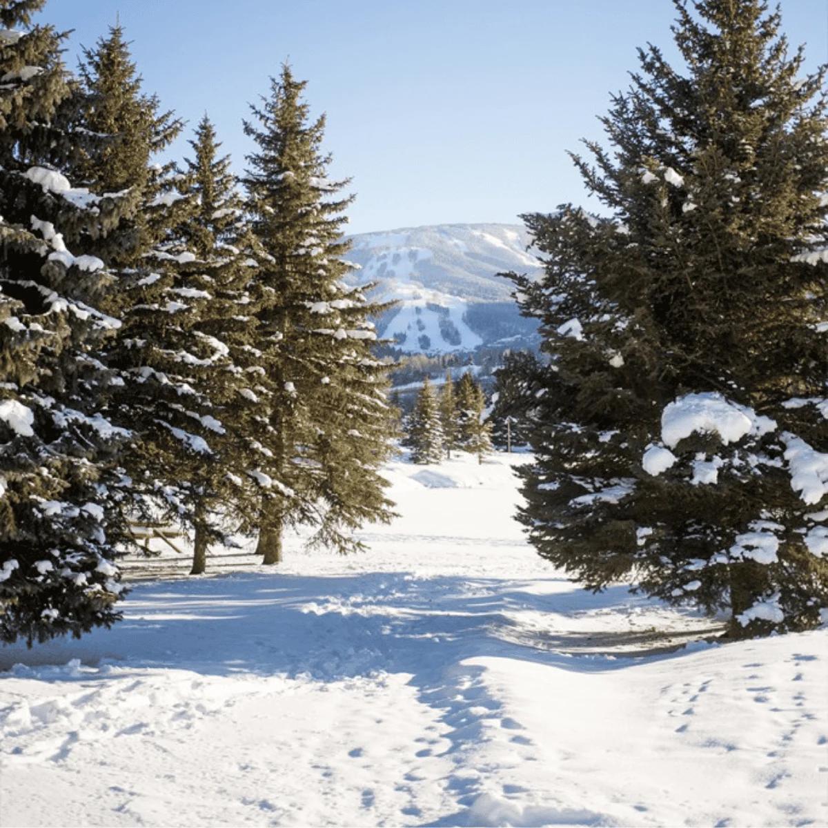 Avon, Colorado