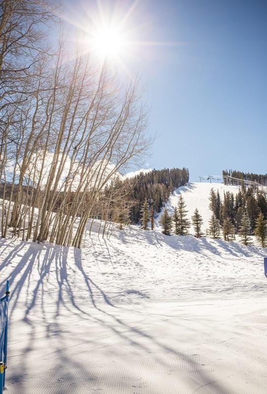 Beaver Creek Ski Area