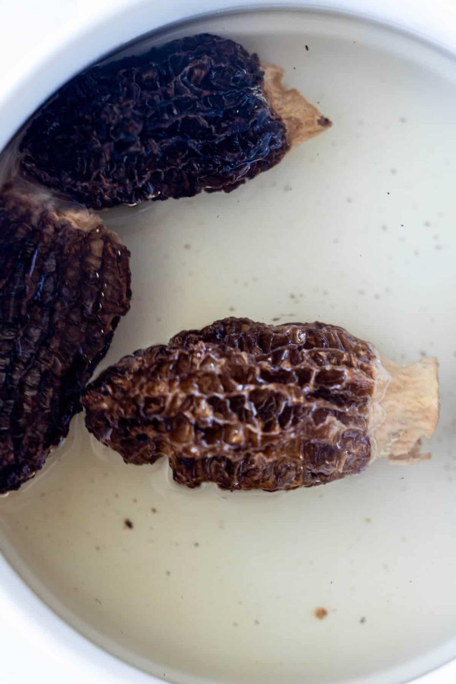 Three dried morel mushrooms are soaking in a bowl of water, ready to add their rich, earthy flavor to your next Armenian beef or tahini salad recipe.