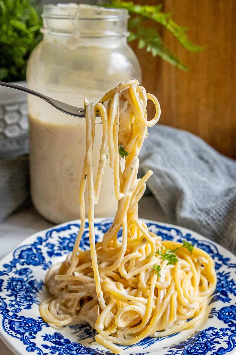 A plate of pasta with the best alfredo sauce on it.
