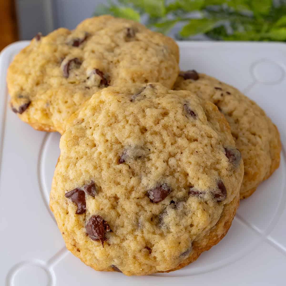 Best Sourdough Discard Chocolate Chip Cookies