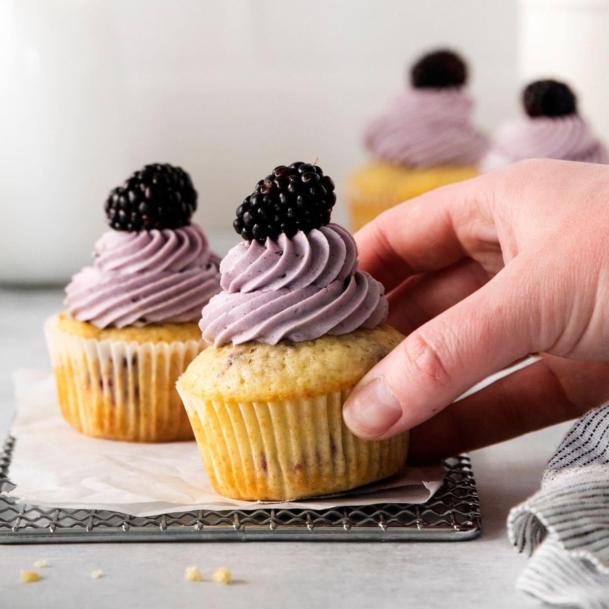 Blackberry Cupcakes