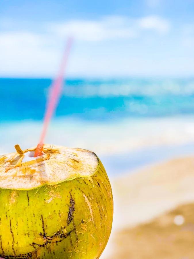 What To Do In Costa Maya Mexico (Malahual) On a Cruise