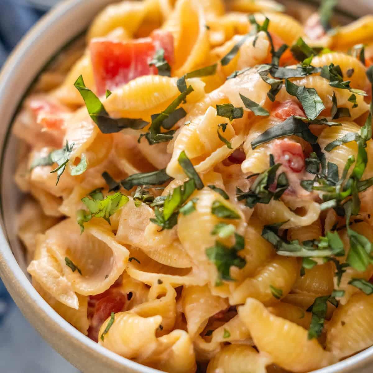 Creamy Tomato Orichette