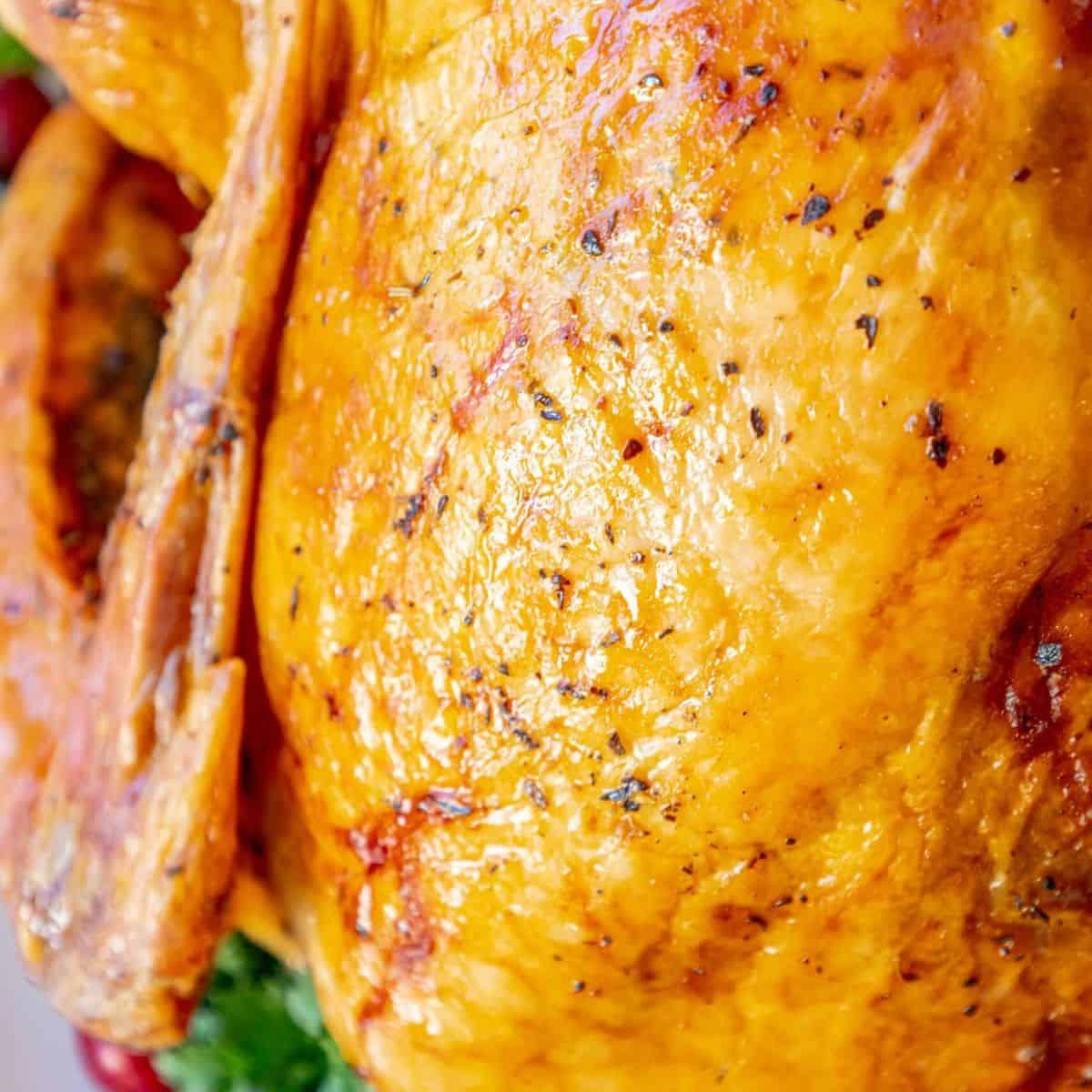 Dry Brined Turkey