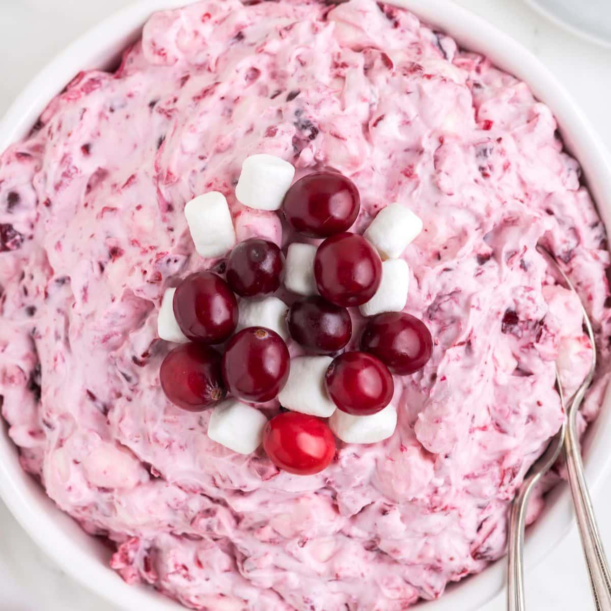 Easy Cranberry Fluff Salad