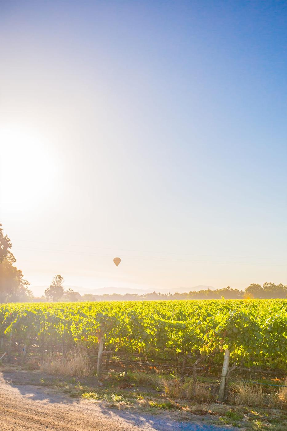 Exploring Sonoma’s Wine Country