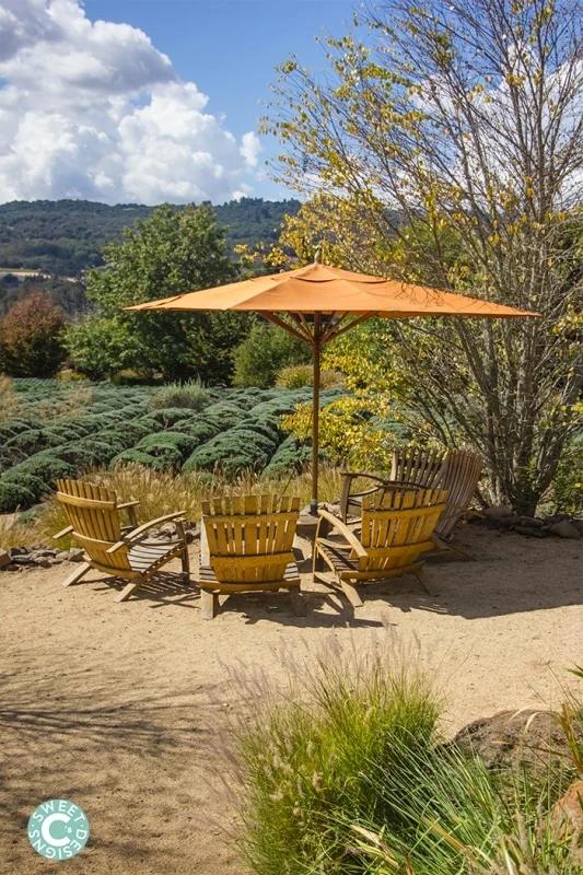 Fall at Matanzas Creek Winery