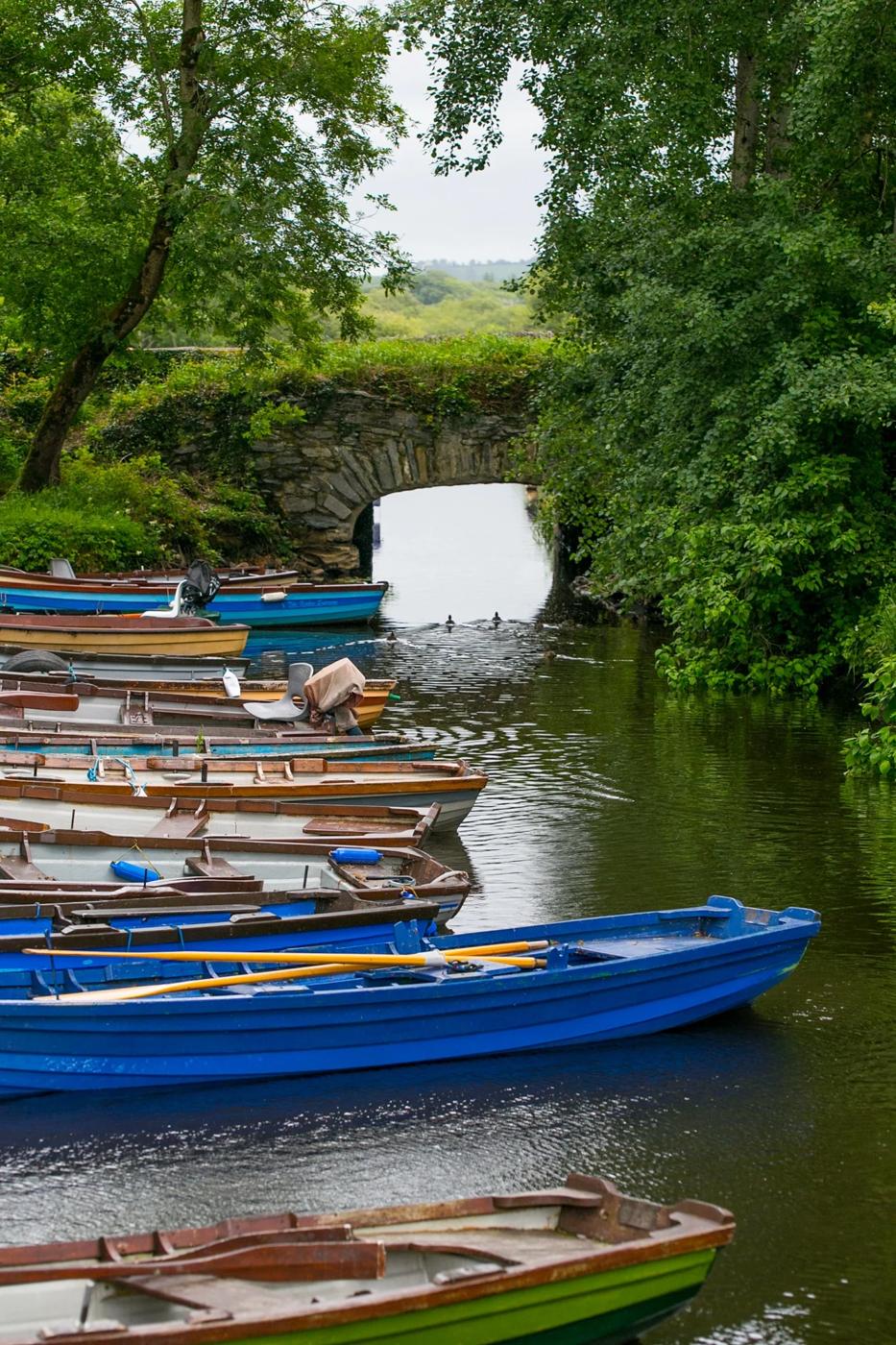 Killarney National Park