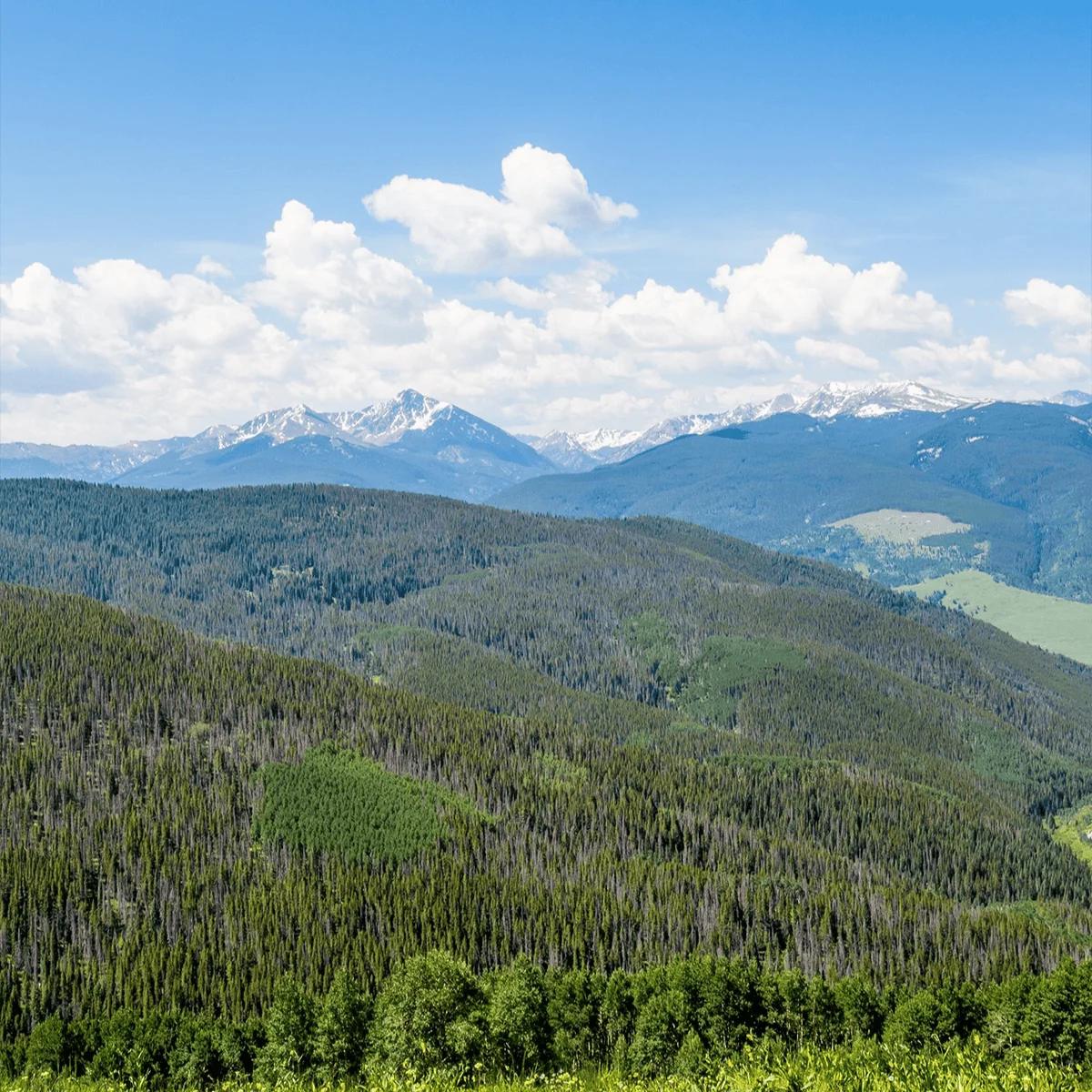 Parents Getaway to Vail