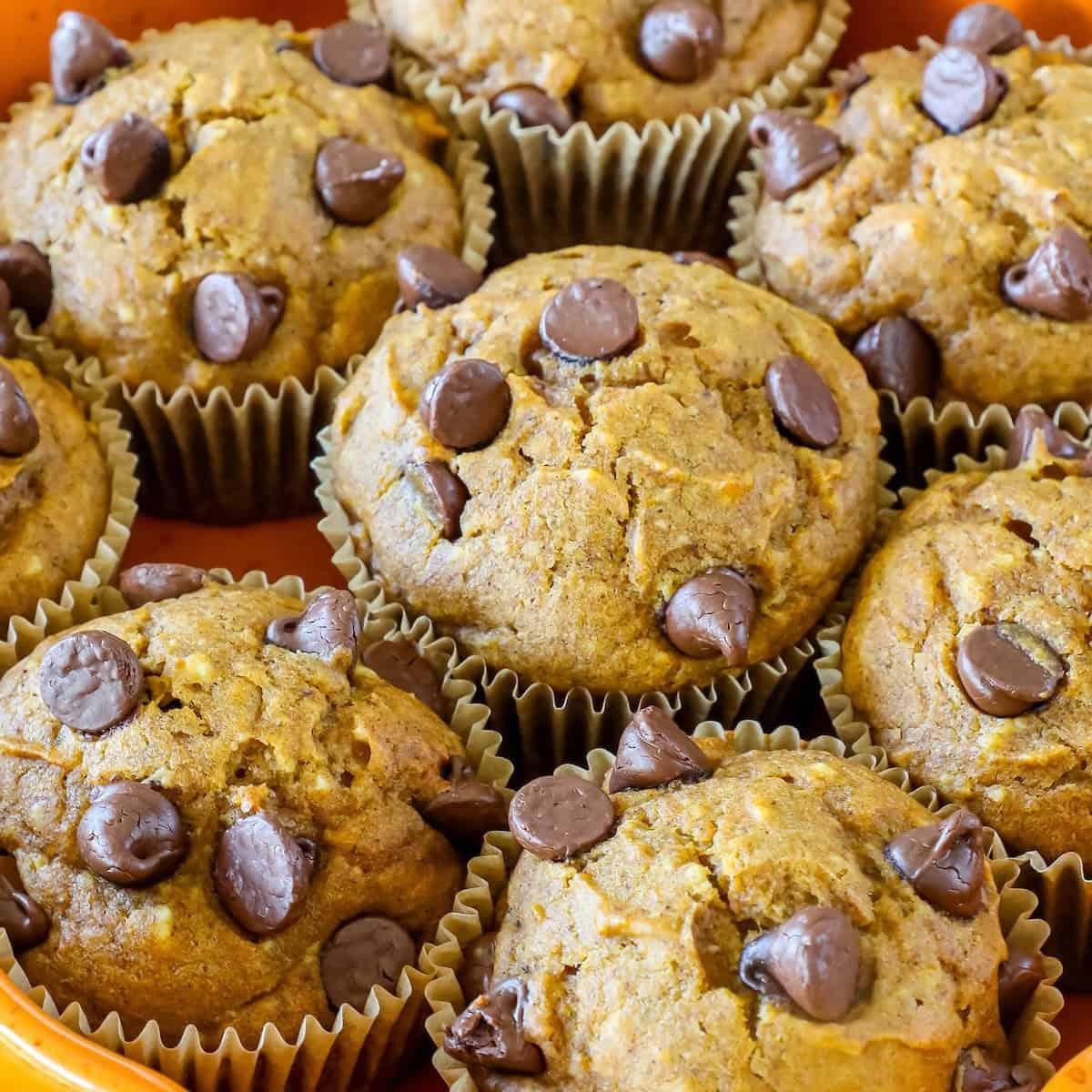 Pumpkin Chocolate Chip Muffins