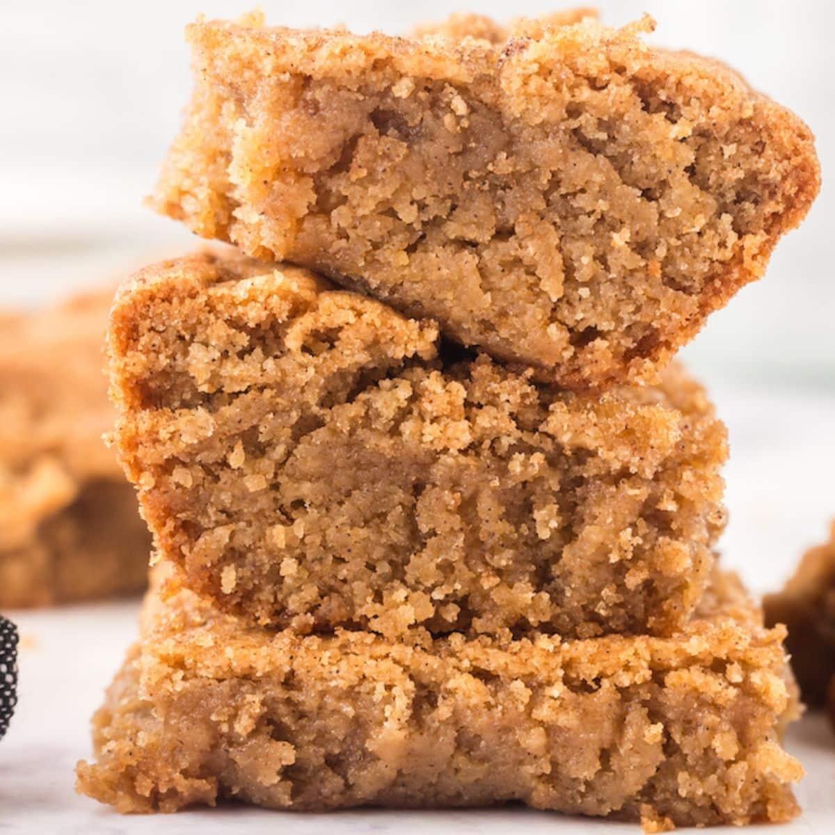 Snickerdoodle Blondies