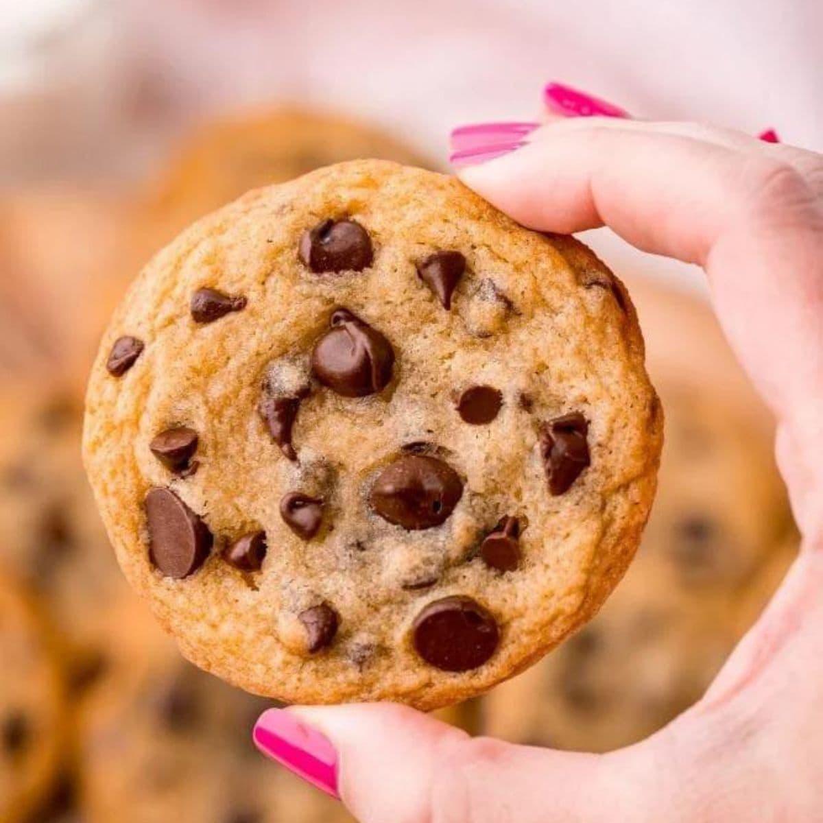 The Best Chewy Chocolate Chip Cookies