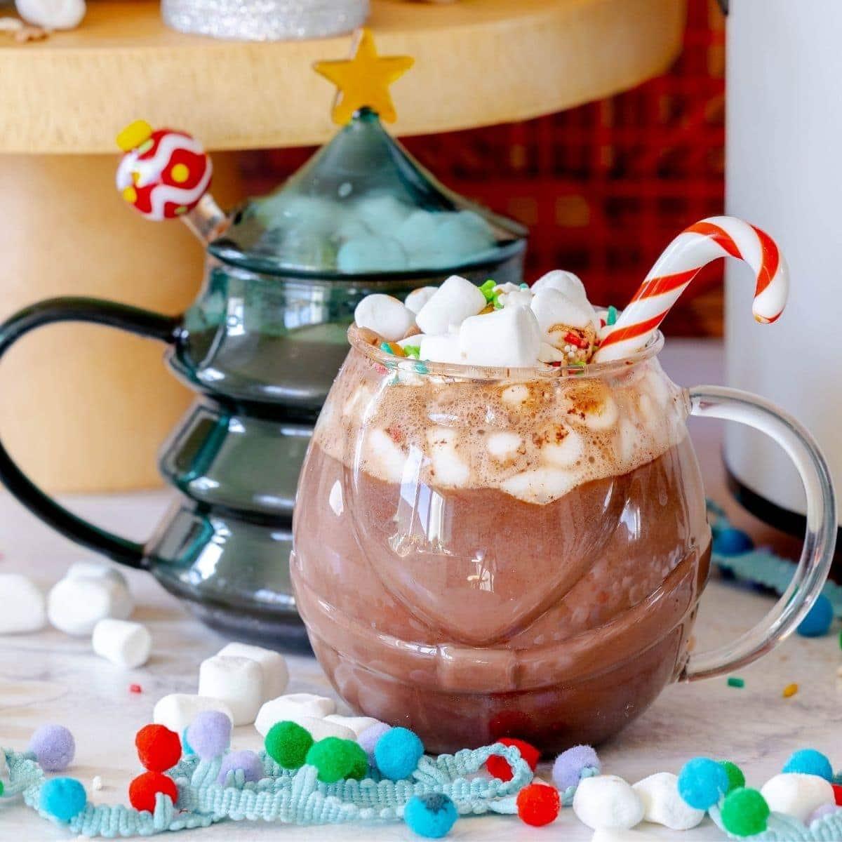 picture of mug with hot chocolate with candy cane stirrer and mini marshmallows on top