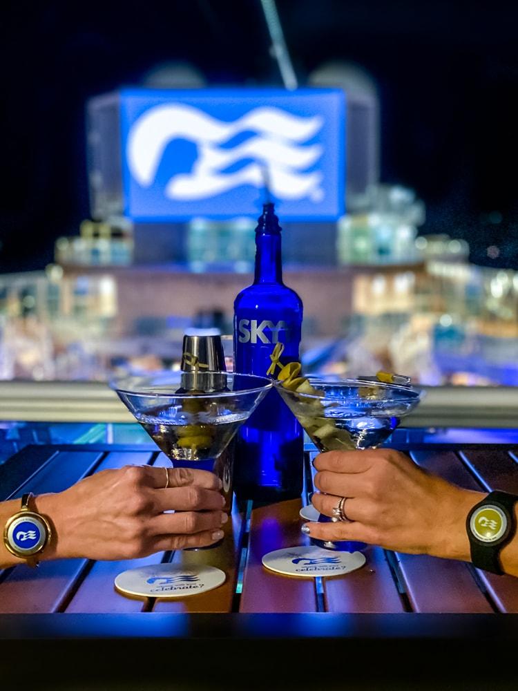 The Ultimate Sky Princess Bar Crawl