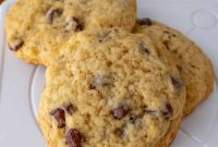 Next-Level Sourdough Discard Chocolate Chip Cookies