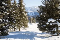 Avon Colorado Alpine Escape