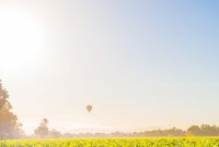 Uncorking Sonoma’s Wine Country