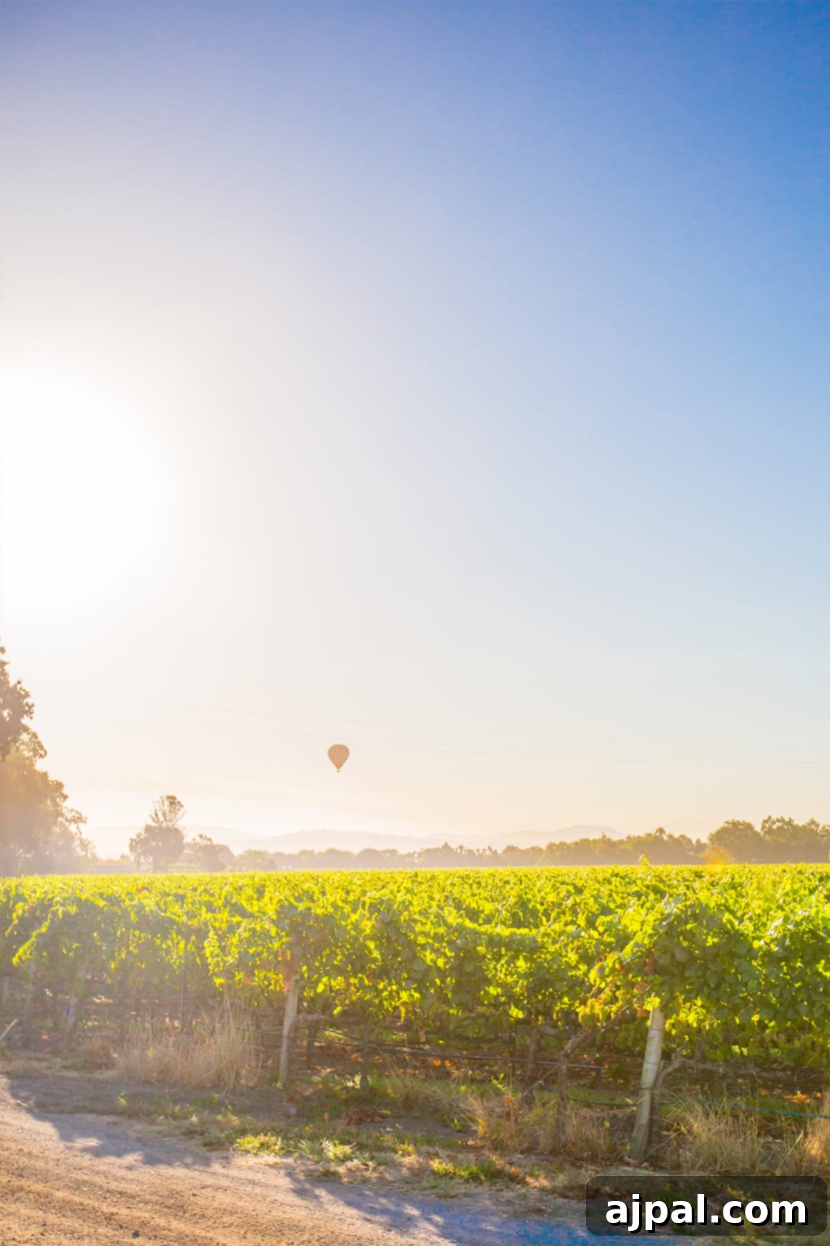 featured 15715