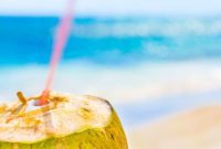 Costa Maya Cruise Guide: Malahual Shore Excursions
