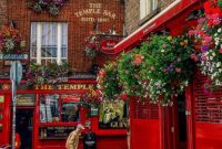 Dublin in a Day Craft Your Own Shore Adventure