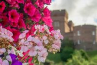 Book a British Isles Cruise: Your Adventure Awaits
