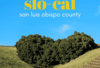 The Ultimate SLOCal Day
