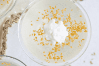 Bubbly Champagne Jello Shots