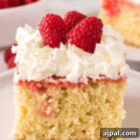 A slice of raspberry sheet cake topped with whipped cream and raspberries.