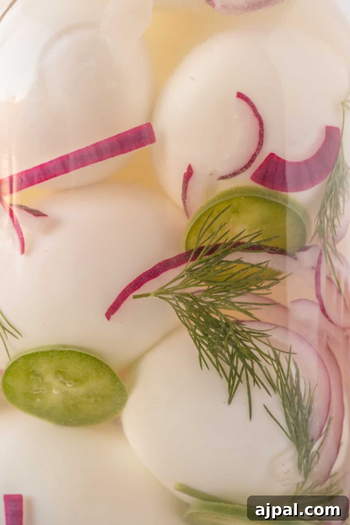 Pickled eggs in a jar with dill and chives.