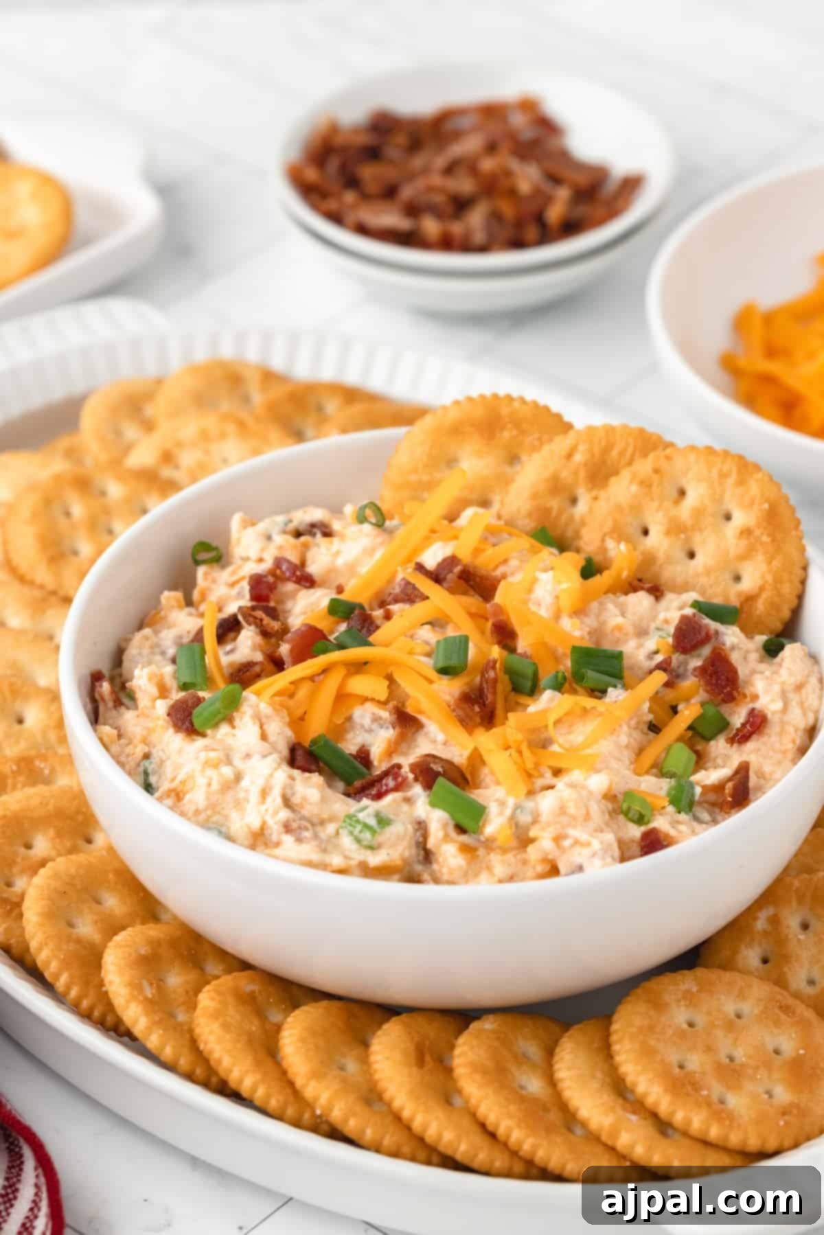 Grand Occasion Dip 12 A bowl of Million Dollar Dip, surrounded by a variety of crackers, creating a tempting appetizer spread.