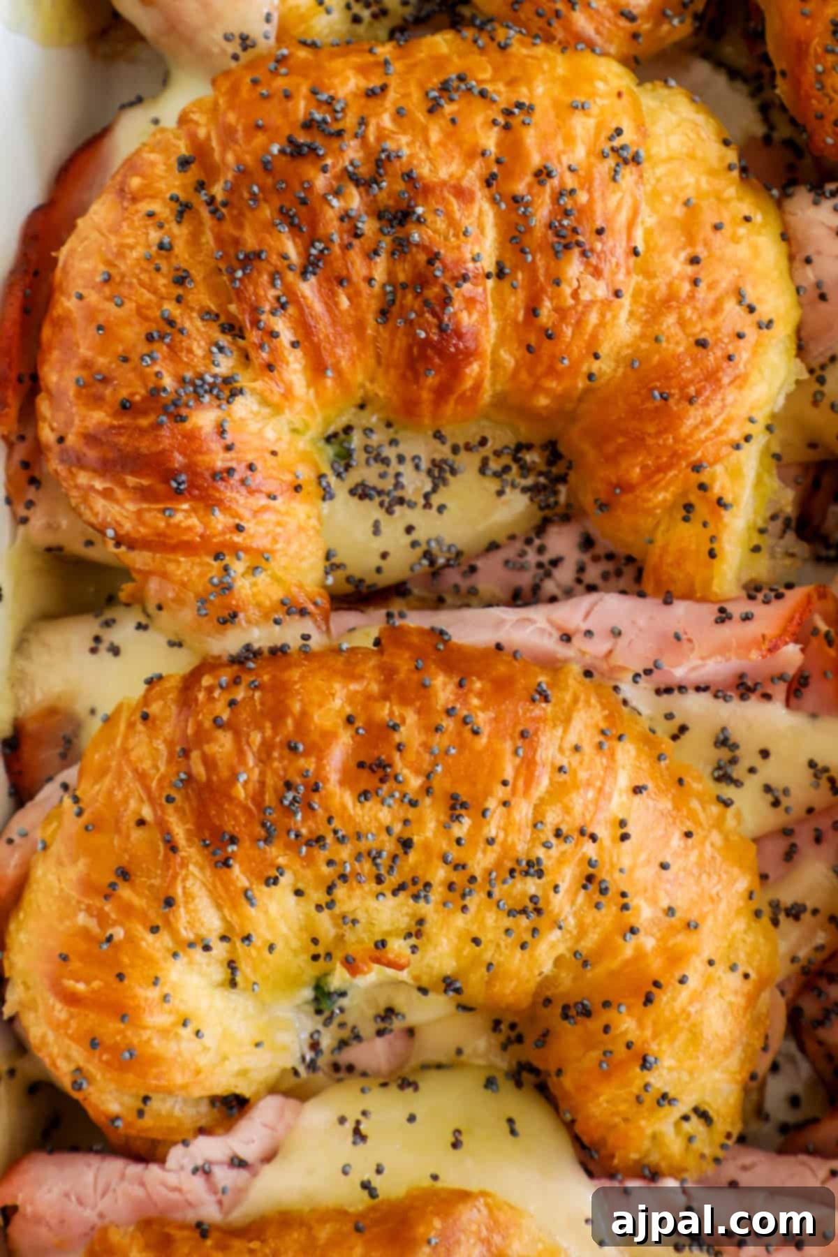 Warm Ham and Cheese Croissant Melts 14 Ham and cheese croissants topped with black sesame seeds.