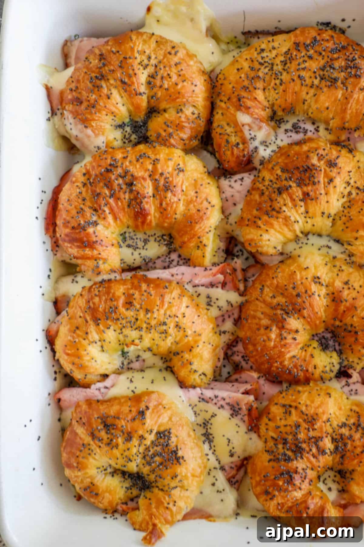 Warm Ham and Cheese Croissant Melts 16 Baked ham and cheese croissants neatly arranged in a baking dish.