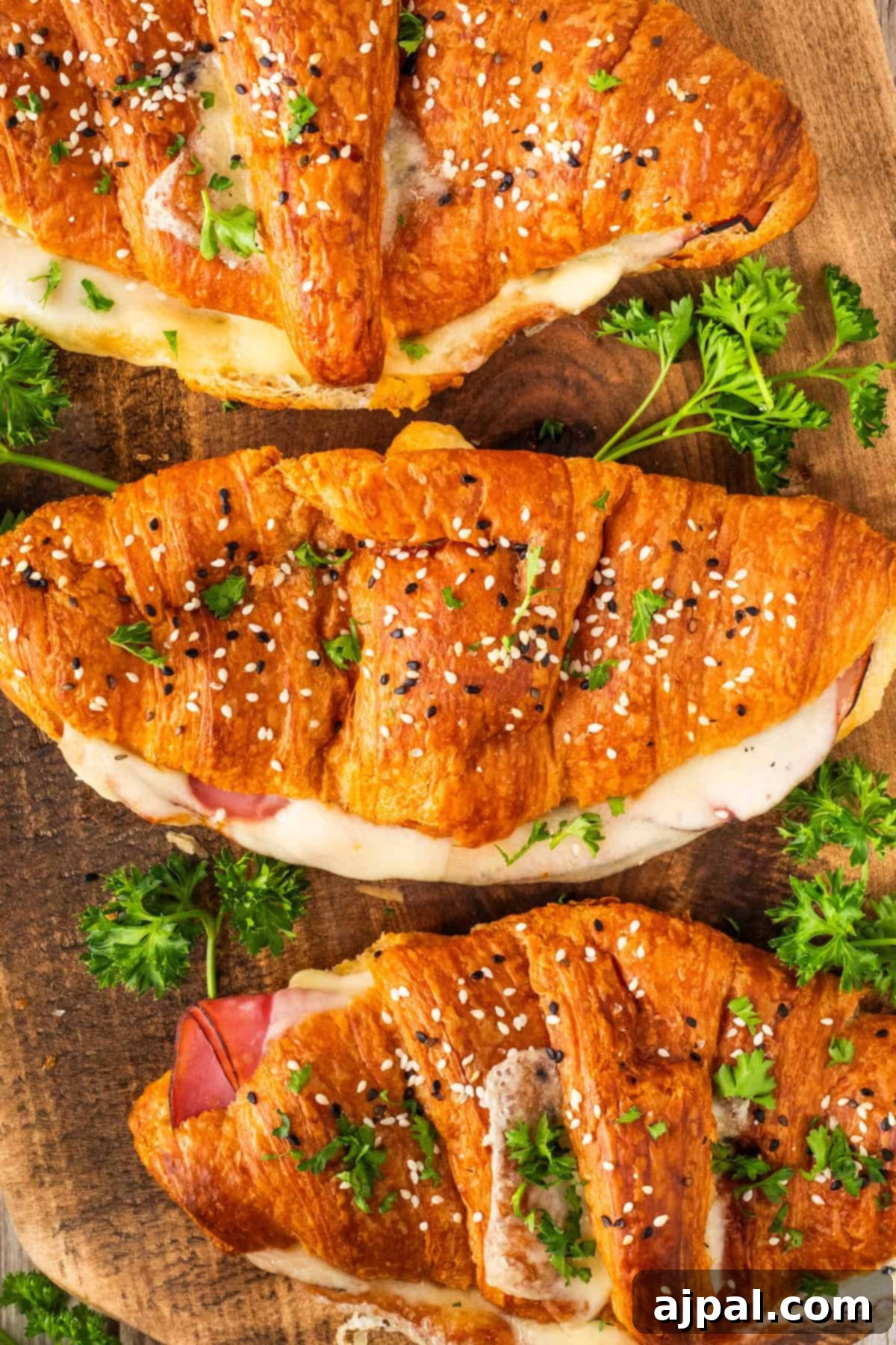 Warm Ham and Cheese Croissant Melts 6 Three baked ham and cheese croissants with melted cheese, sesame and poppy seeds, and fresh parsley.