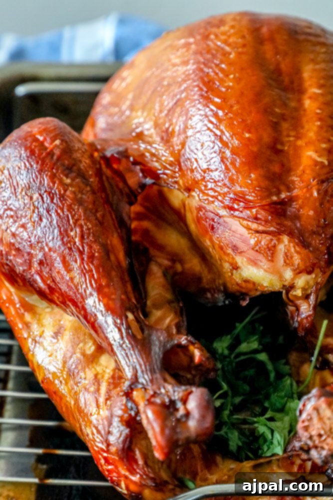 The Ultimate Smoked Turkey 2 picture of smoked turkey on a metal tray