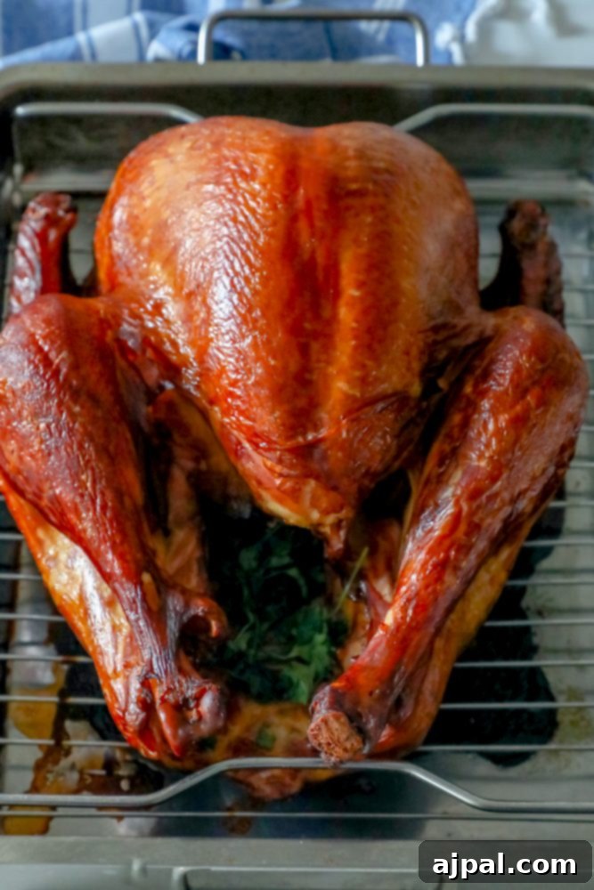 The Ultimate Smoked Turkey 3 picture of smoked turkey on a metal tray