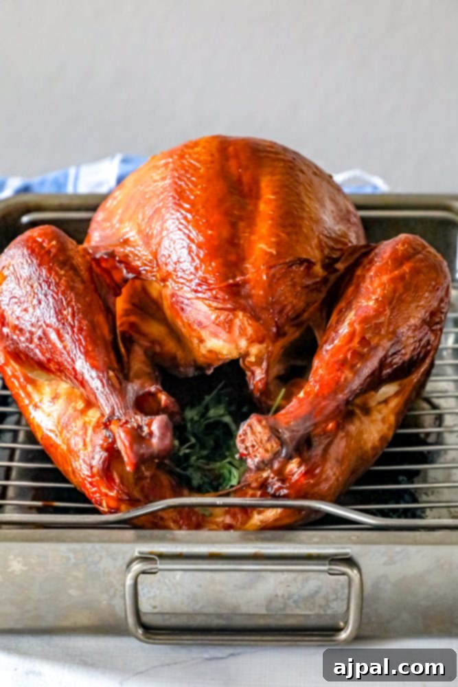 The Ultimate Smoked Turkey 5 picture of smoked turkey on a metal tray