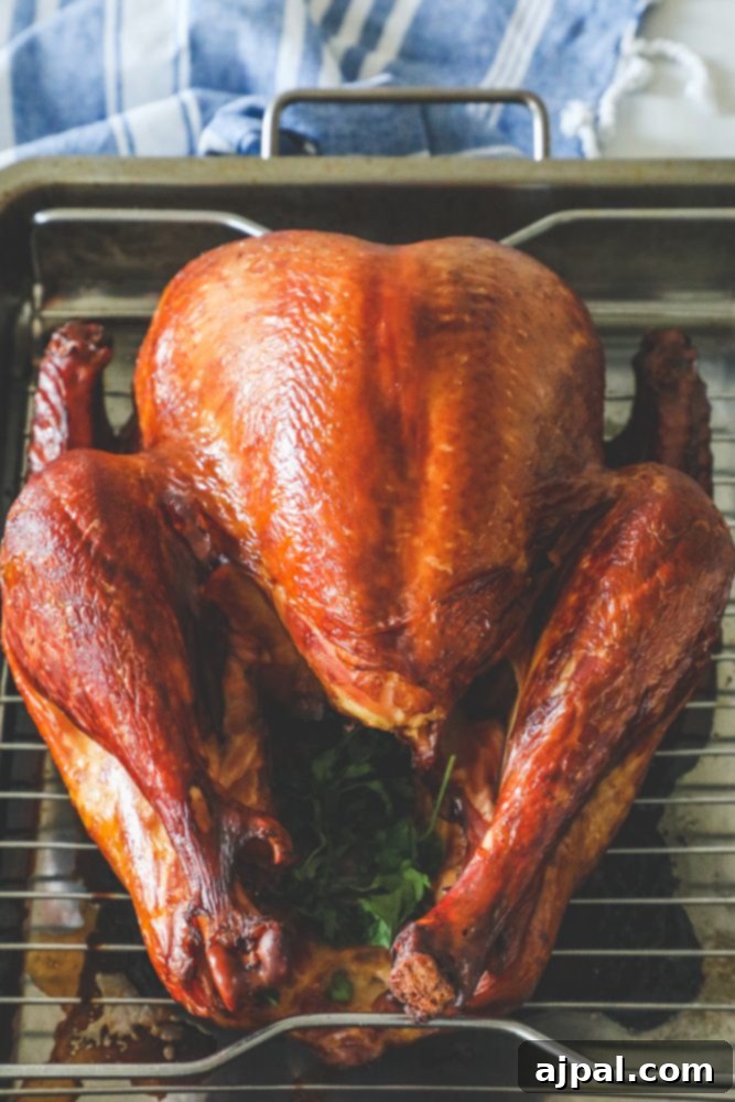 The Ultimate Smoked Turkey 6 picture of smoked turkey on a metal tray