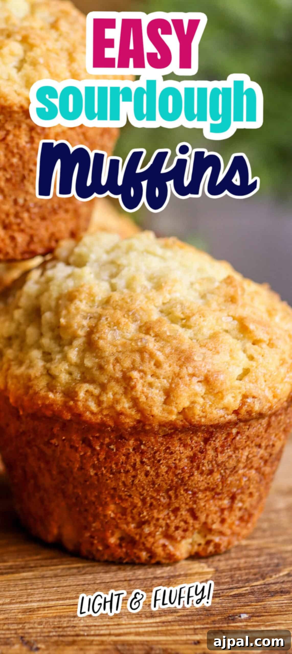 Promotional image featuring homemade sourdough muffins with text labels describing them as 'easy sourdough muffins' and 'light & fluffy!'.
