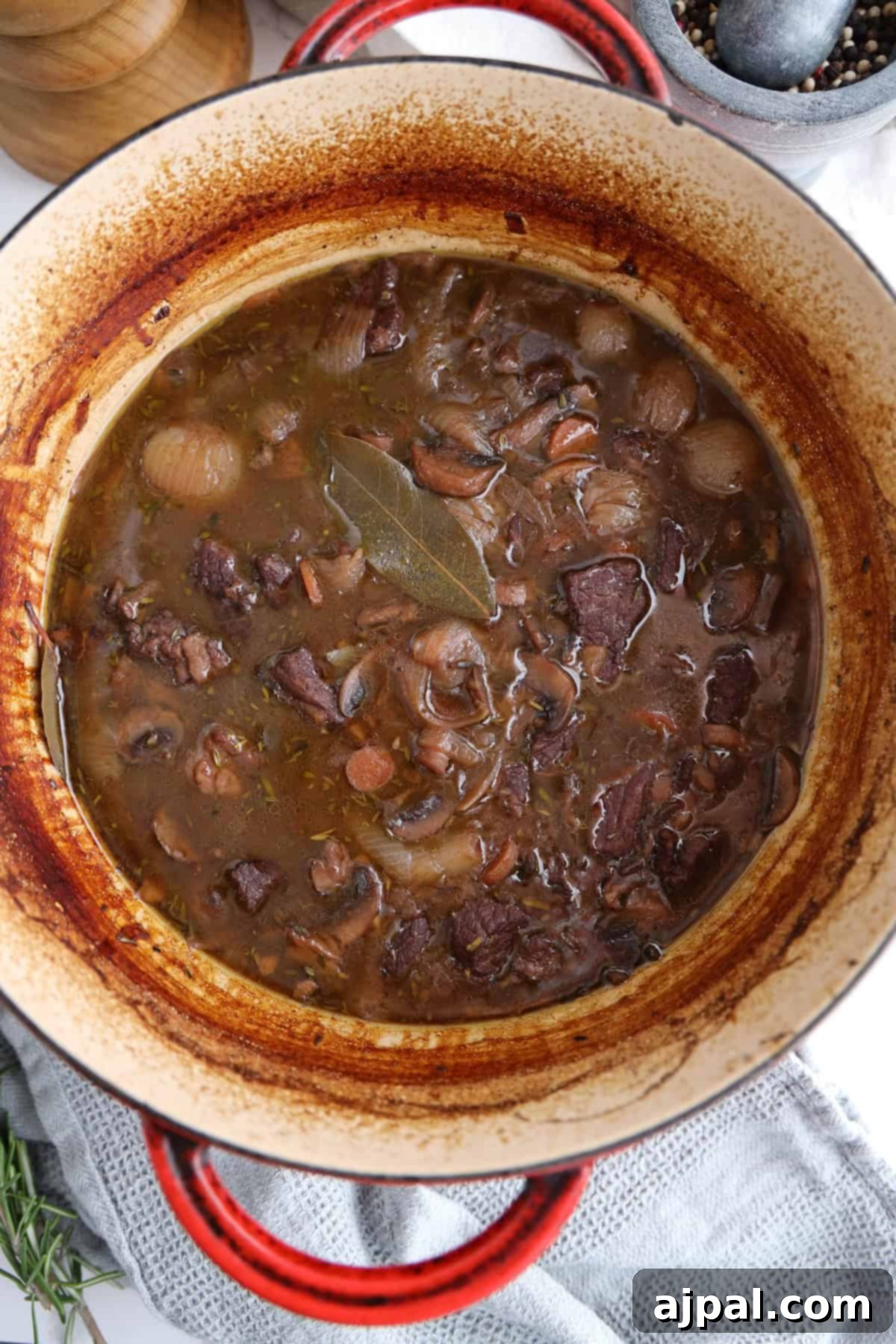 A captivating top-down view of a red cooking pot filled with a rich beef and onion stew, artfully arranged on a kitchen countertop. The stew is surrounded by an assortment of vibrant herbs and exotic spices, adding to the culinary appeal of the scene.