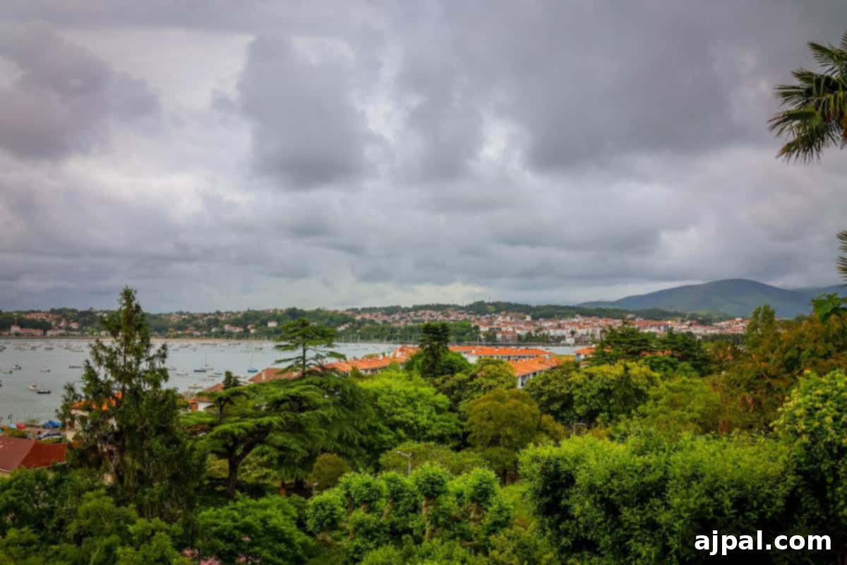 Hondarribia Uncovered 14 A scenic view of a coastal town with dense greenery in the foreground, a body of water with boats in the middle, and hilly terrain in the background under a cloudy sky.