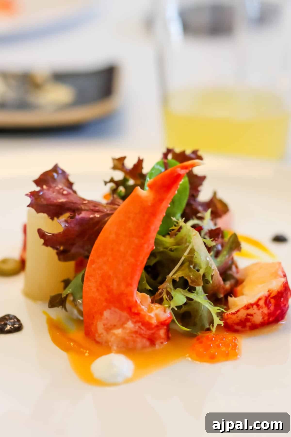 Hondarribia Uncovered 3 A gourmet salad featuring mixed greens, lobster claws, and caviar garnished with sauce, served on a white plate.