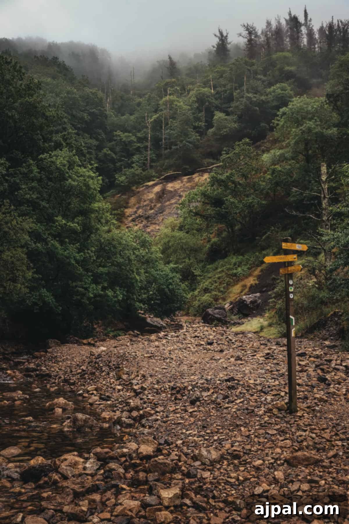 Hondarribia Uncovered 5 A rocky pathway with a yellow trail signpost leads into a dense forest. The background shows mist-covered hills with scattered trees.