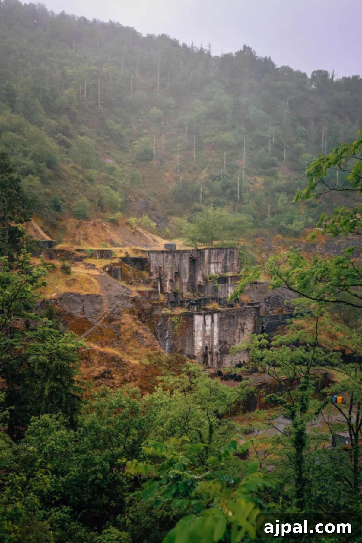 Hondarribia Uncovered 7 A weathered, multi-level stone ruin stands amidst a lush forested area with a misty atmosphere, surrounded by dense greenery and steep hillsides.