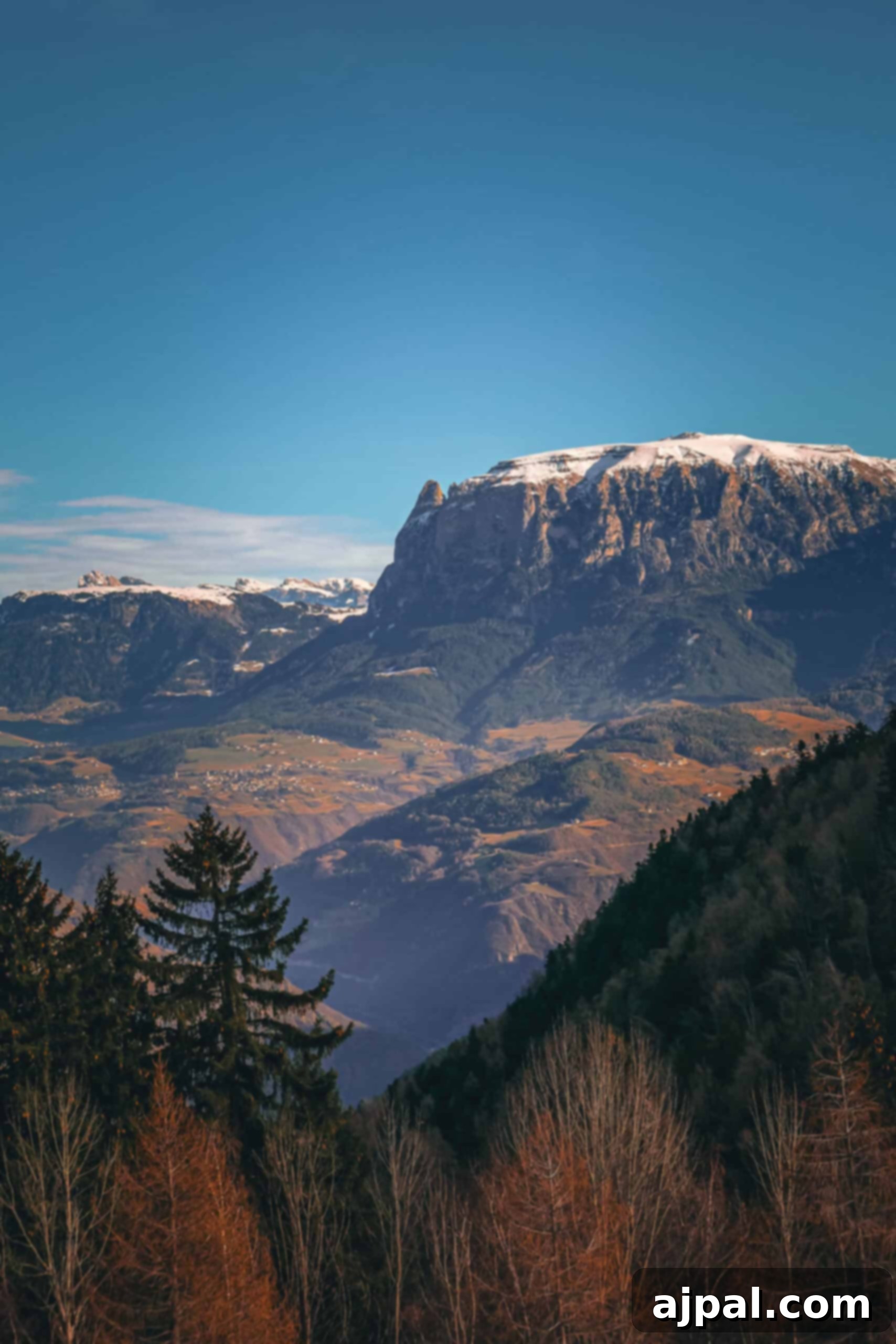 Discover Bolzano: Italy's Alpine Gem 10 Christmas Market stall in Bolzano with festive decorations